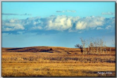 The ever changing Sand Hills ... '