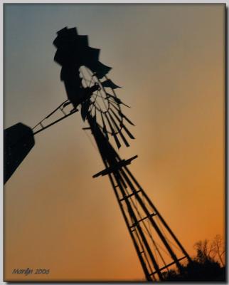 'A Little Bit Country ... '