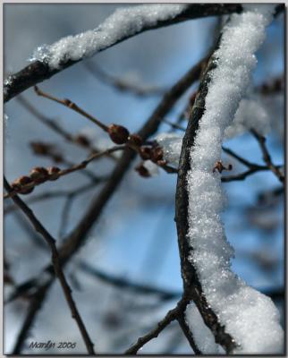 'Snow and Ice ... '