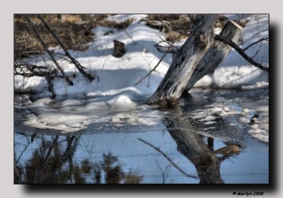 The object of reflection . . .