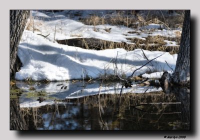 The object of reflection . . .