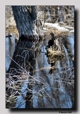 The object of reflection . . .