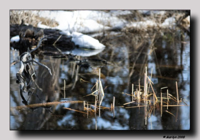 The object of reflection . . .