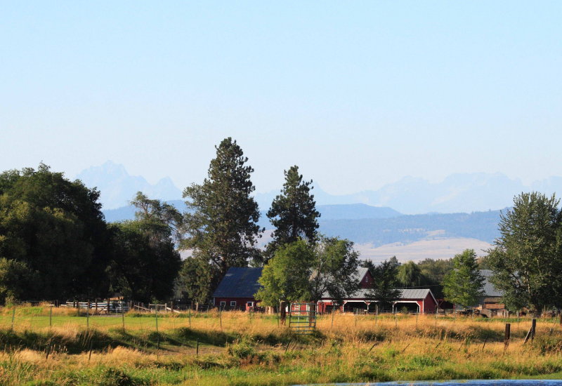 9-12 A ranch 4995.jpg