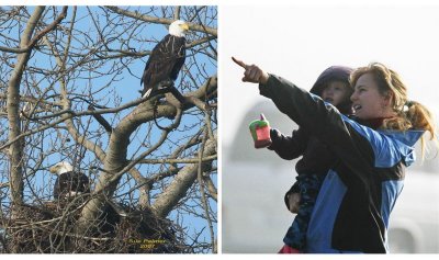 11-20 rose the eagles web.jpg