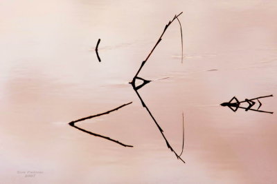 11-25 afterglow reflected 7305.jpg