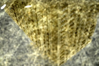 g3/51/440751/3/89561860.qTve3nkA.jpg