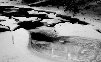 _MG_6679-1sm.jpg