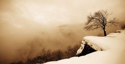 D3S_7711-1sm.jpg