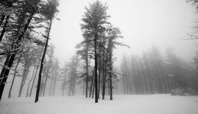 D3S_7659-1sm.jpg
