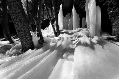 D3S_7845sm_bw.jpg