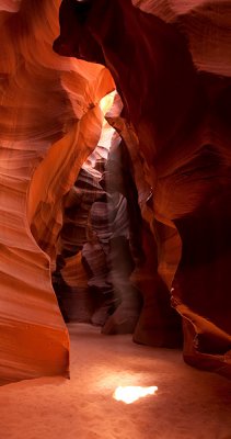 _MG_7950-1sm.jpg