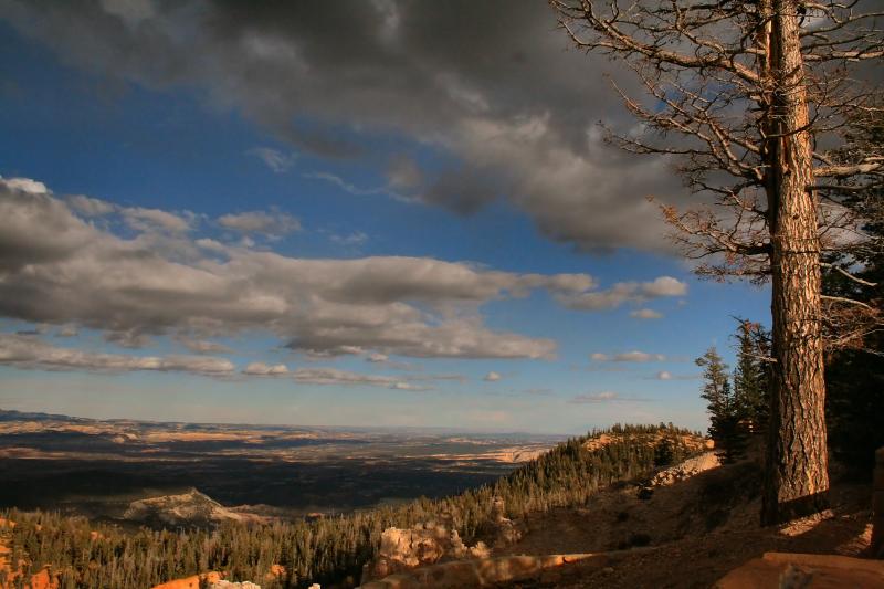 December_21_2005.JPG