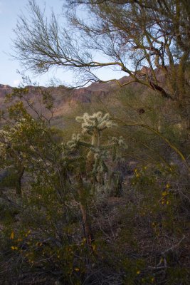 0E6R1277Tucson.jpg