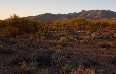 0E6R1343Tucson.jpg