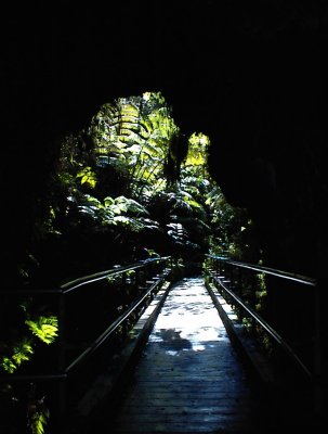 DSC00009.jpg