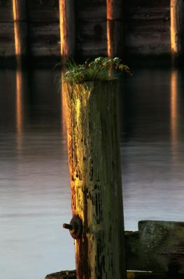 DestinationVashon