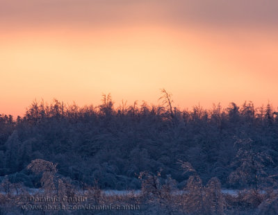 Dernier Coucher de Soleil en 2009 / Last Sunset in 2009