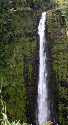 Akaka Falls 1850 feet.jpg