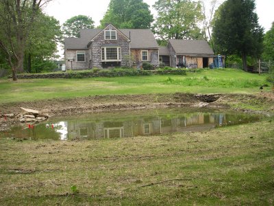 Pond2 5-17-2009.JPG