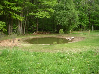 Pond 5-17-2009.JPG