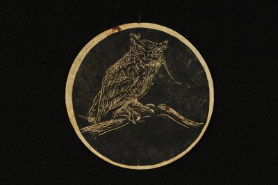 owl 8 x 8