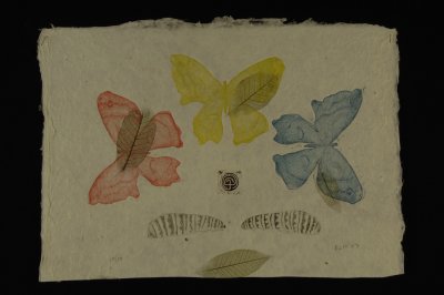 butterflies (etching) 12.5 x 18.5