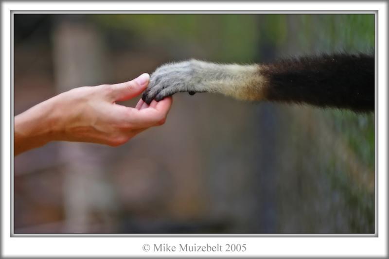 Relatives Meet..... - by Mousehill