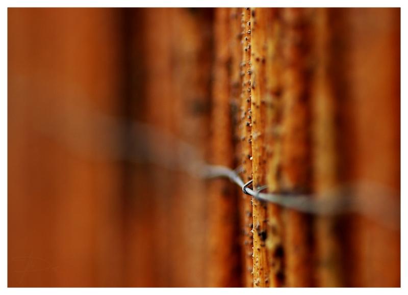 extremebokeh.jpg