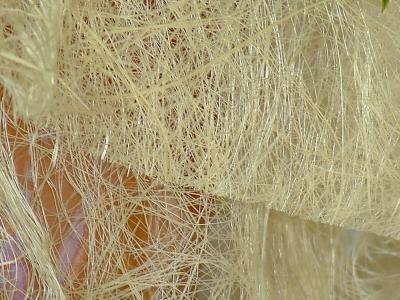 Threads by Judi