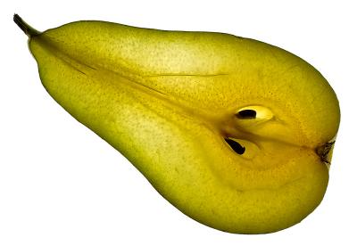 Pear - by G. Hördt