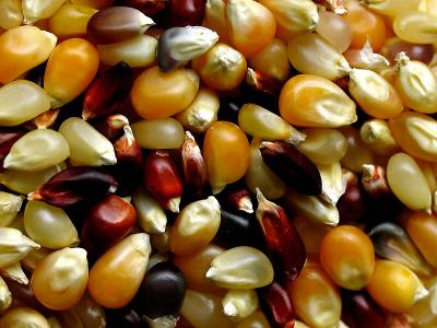 Kernels by jstrong