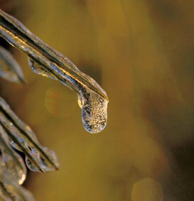 Ice Droplet at Sunrise by Chris