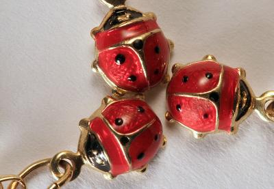 g3/51/588451/3/55371082.ladybugcharms.jpg