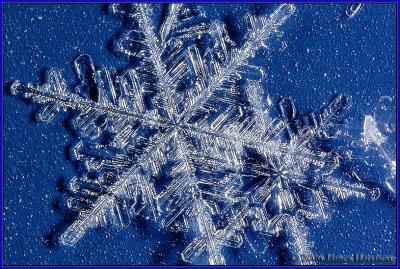 Snowflakes 1 by Jim H.