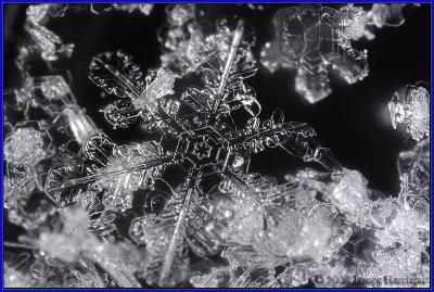 Snowflakes 2 by Jim H.