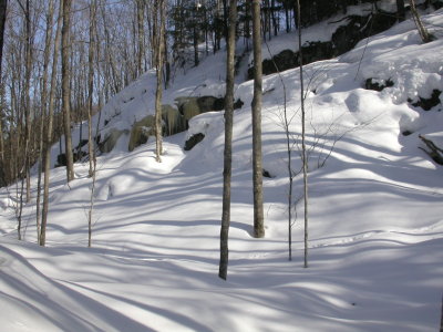 g3/51/597951/3/122217530.PqPdZIyZ.jpg