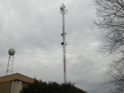 Tall Timbers Research Station