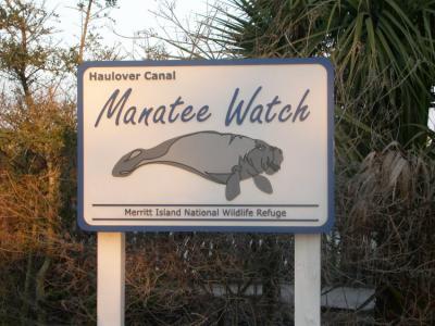 Manatee Watch