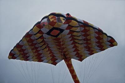 Cerfs-volants - Kites - Dieppe 1988 ::Gallery::