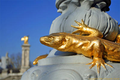 A prey in gold - Une proie en or