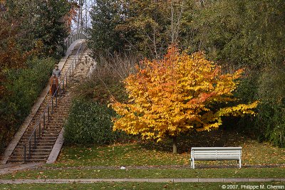 Parc de Bercy