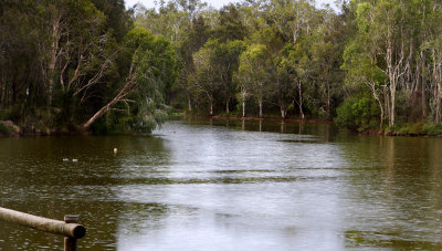 Wetlands