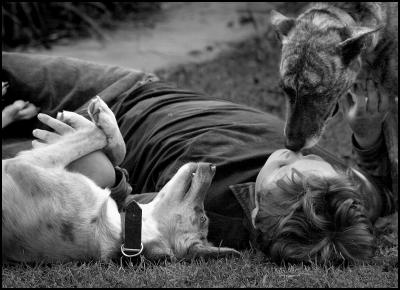 A boy and his dogs!