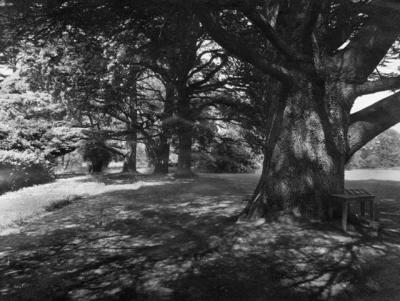 Park at Hardenhuish