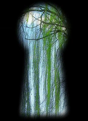 Weeping Willow - Creative Enhancement by H.