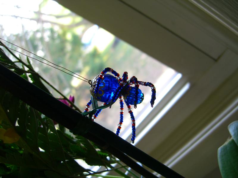 Blue Spider <br>4-5-06