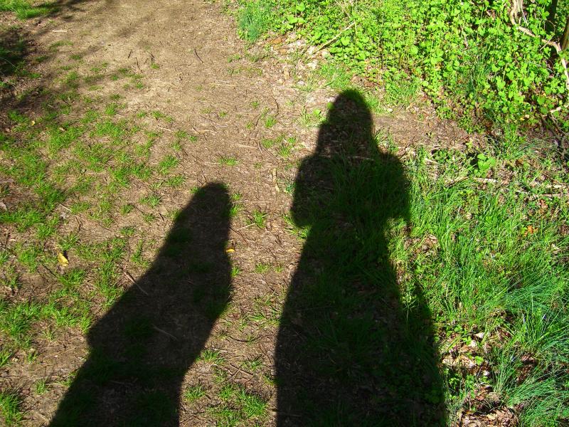 Family Therapy~Me and my shadow <br>4-20-06