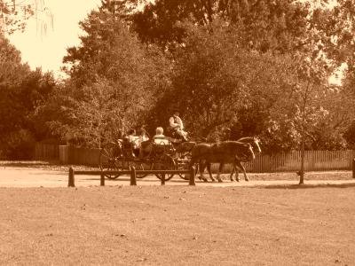 Carriage ride in sepia