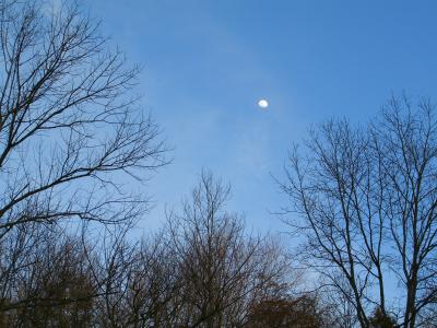 Day moon 3-10-06